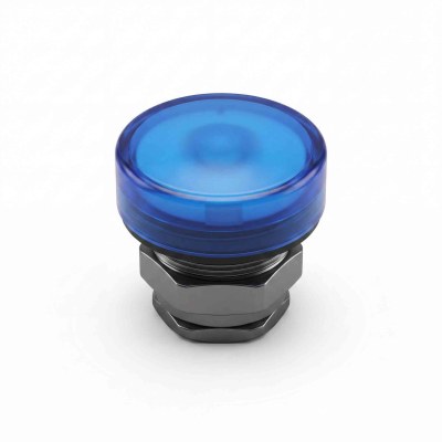 TESTATA SPIA BLU